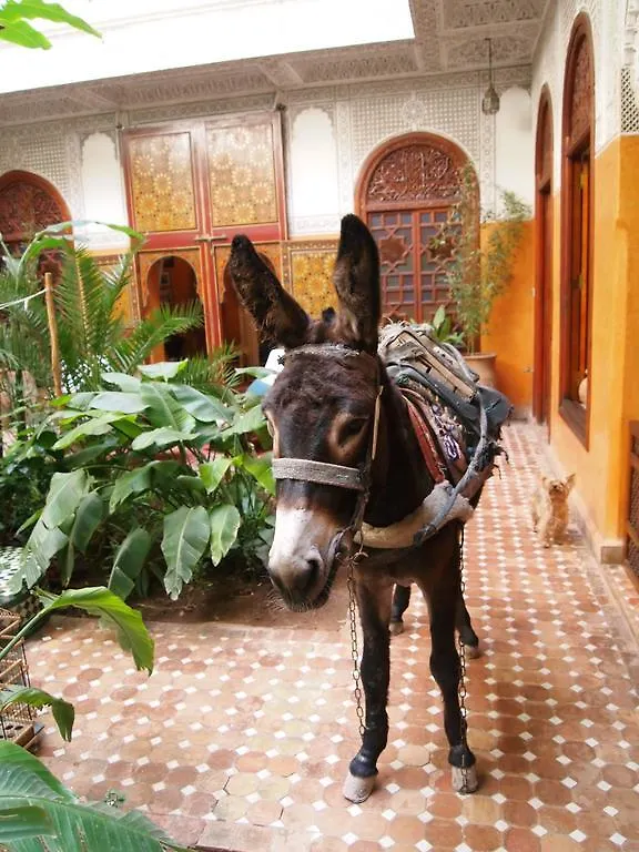 Riad Jardin Secret Marrakesh
